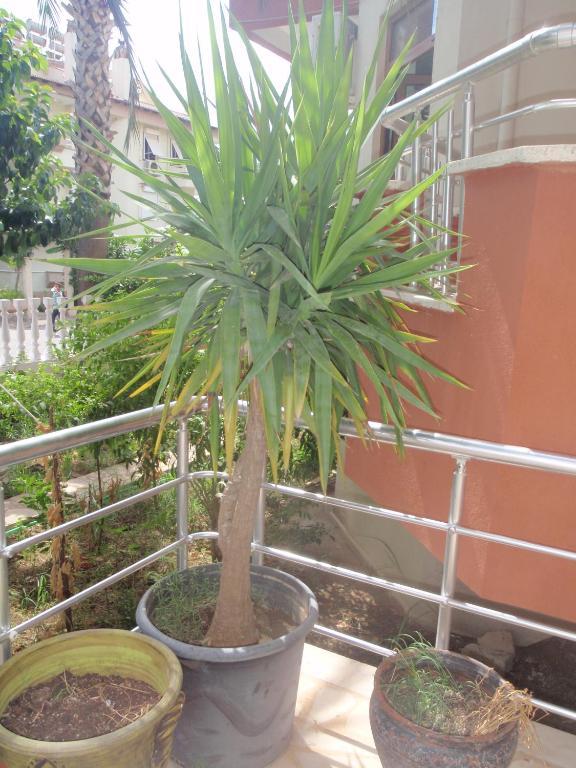 Aloe Apart Hotel Marmaris Buitenkant foto